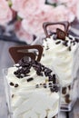 Goblet of vanilla ice cream with chocolate sprinkles Royalty Free Stock Photo