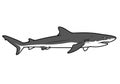 Goblin shark clipart illustration design Royalty Free Stock Photo