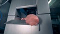 Gobs of meat are falling from a metal belt after being processed by a factory machine