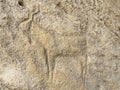 Gobustan, Azerbaijan, September, 11, 2019. Ancient petroglyphs in Gobustan, Azerbaijan