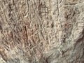 Gobustan, Azerbaijan, September, 11, 2019. Ancient petroglyphs in Gobustan, Azerbaijan