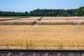 Goch, North Rhine-Westphalia - Golden wheat fields and railway track at the German countryside