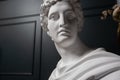 God Apollo bust sculpture. Ancient Greek god of Sun and Poetry Plaster copy of a marble statue on black.