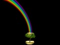 god bless rainbow and dark sky tree in park