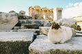 God cat in a ruin Royalty Free Stock Photo