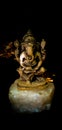 The god of ganesh or ganesa in india Royalty Free Stock Photo