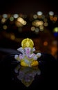 God Ganesh reflection