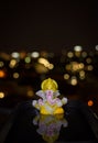 God Ganesh reflection