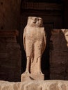 God Horus as a falcon statue at Abu Simbel Temple Egypt Royalty Free Stock Photo