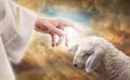 God reaching out to a lost sheep Royalty Free Stock Photo