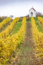 God& x27;s torture near Hnanice with autumnal vineyard, Southern Moravia, Czech Republic Royalty Free Stock Photo
