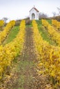 God's torture near Hnanice with autumnal vineyard, Southern Moravia, Czech Republic Royalty Free Stock Photo