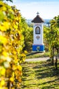 God's torture with vineyard near Nechory