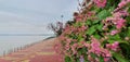 Godavari river banks in India