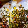 Goddess Durga with traditional look in close up view at a South Kolkata Durga Puja, Durga Puja Idol, A biggest Hindu festival in Royalty Free Stock Photo