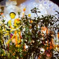 Goddess Durga with traditional look in close up view at a South Kolkata Durga Puja, Durga Puja Idol, A biggest Hindu festival in Royalty Free Stock Photo