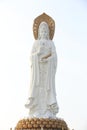 Goddess of mercy statue at seaside in nanshan temp