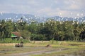 Nature Friendly Farming in Jogjakarta Indonesia Flock of Bird