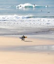 Surfers at Godrevy beach at low tide Cornwall UK