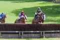 Point to point racing at Godstone Surrey on May 2, 2009. Three unidentified people