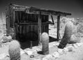 Goffs, California Mojave Desert Museum, infrared