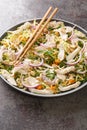 Goi ga salad with shredded chicken, cabbage, fresh cilantro and mint tossed with fish sauce dressing, pickled onions and toasted Royalty Free Stock Photo