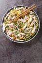 Goi ga salad with shredded chicken, cabbage, fresh cilantro and mint tossed with fish sauce dressing, pickled onions and toasted Royalty Free Stock Photo