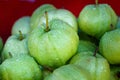 Goiaba,Guava. Royalty Free Stock Photo