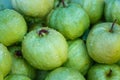 Goiaba,Guava. Royalty Free Stock Photo