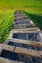 Going down into nature Royalty Free Stock Photo