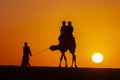 Going home on camels at sunset in rajastan thar desert