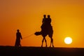 Going home on camels at sunset in rajastan thar desert Royalty Free Stock Photo