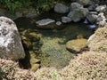 Going through river and ponds on the Augustave path to Aurere, Mafate, Reunion