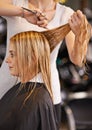 Going shorter. a woman having her hair cut at a salon. Royalty Free Stock Photo