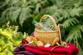 When going to the mushroom picking bring a charged phone a water bottle and a warm colored jacket in case of getting lost.