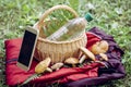 When going to the mushroom picking bring a charged phone a water bottle and a warm colored jacket in case of getting lost.