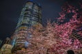 A going to see cherry blossoms at night and Roppongi Hills Mori garden Royalty Free Stock Photo