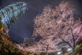 A going to see cherry blossoms at night and Roppongi Hills Mori garden Royalty Free Stock Photo