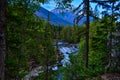 Going to the Sun Road Glacier National Park Logan Creek McDonald Falls