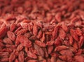 Goji berries Royalty Free Stock Photo