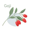 Goji berries on a branch.