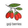 Goji berries color icon