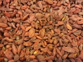 Goji berries, full screen, selective focus. Lycium barbarum