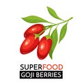 Goji berries vector icon.