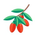 Goji berries vector illustration. Superfood wolfberry icon. Heal