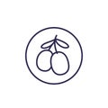 Goji berries vector line icon on white