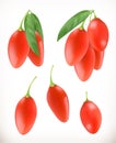 Goji berry. 3d vector icons set