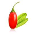 Goji berry isolated Royalty Free Stock Photo