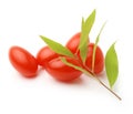 Goji berry isolated