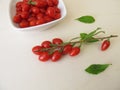 Goji berry, wolfberry in a bowl Royalty Free Stock Photo